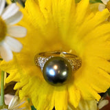 Tahitian pearl & diamond ring