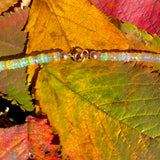 Opal & turquoise necklace