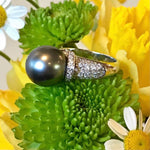 Tahitian pearl & diamond ring